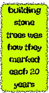 Stone Trees of Mexico